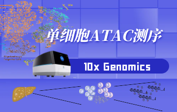 單細胞ATAC測序