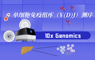 單細胞免疫組庫（V(D)J）測序