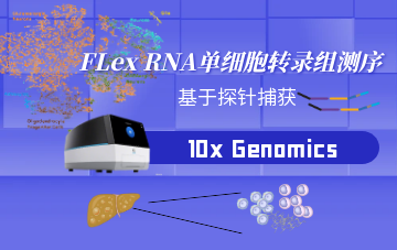 FLex RNA單細胞轉錄組測序