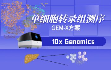 GEM-X單細胞測序方案