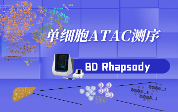 單細胞ATAC測序