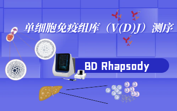 單細胞免疫組庫（V(D)J）測序