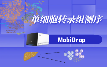 單細胞轉錄組測序