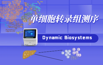 單細胞轉錄組測序