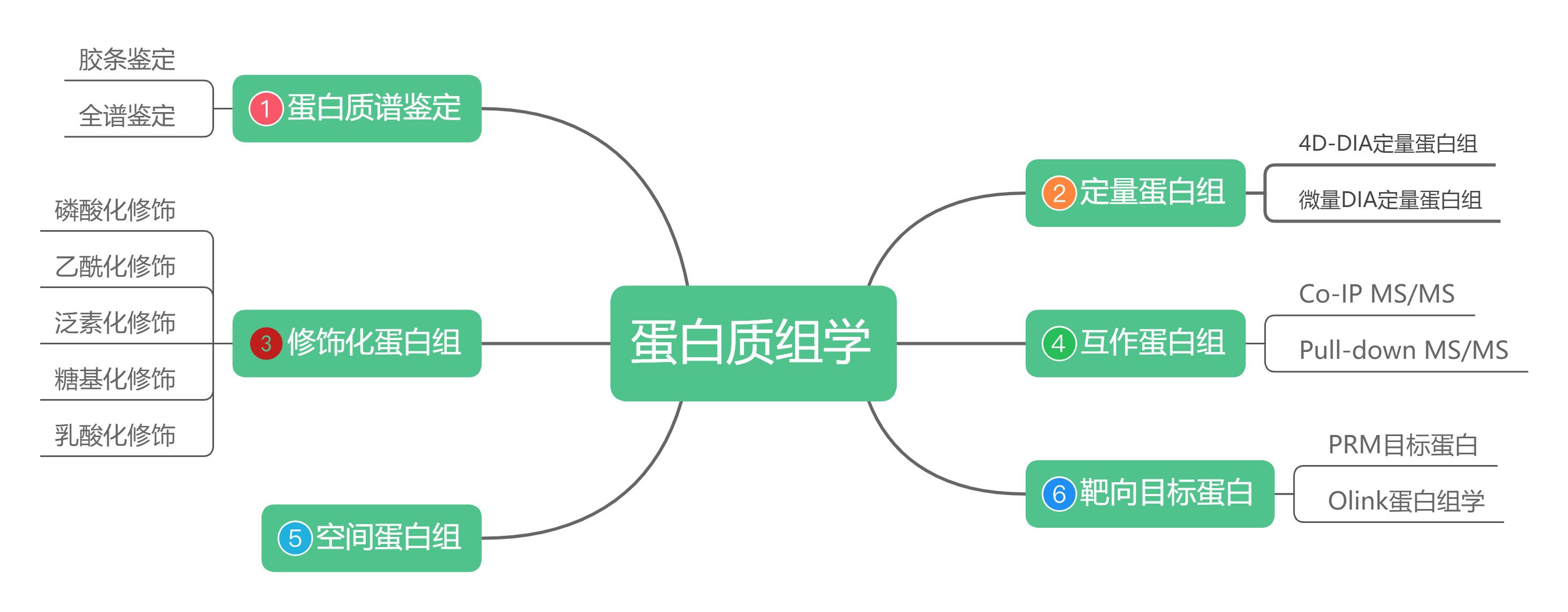 研究思路 | 一文看懂蛋白質組學研究怎么做？