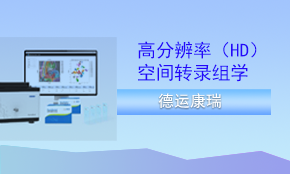 DynaSpatial HD（高分辨率）空間轉錄組測序