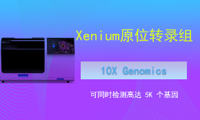 Xenium 單細胞空間轉(zhuǎn)錄組