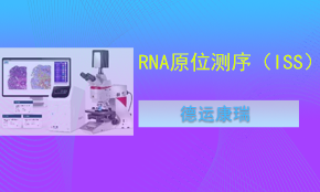 RNA原位測序（ISS）