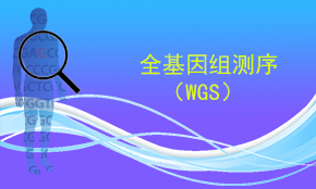 全基因組重測序 （WGS）