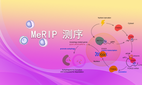 MeRIP測序