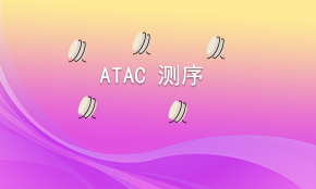 Bulk ATAC測序