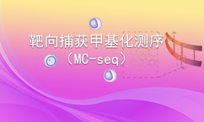 靶向捕獲甲基化測序（MC-seq）