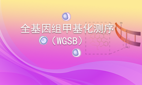 全基因組甲基化測序（WGBS）