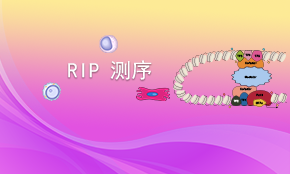 RIP-seq