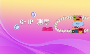 ChIP-seq