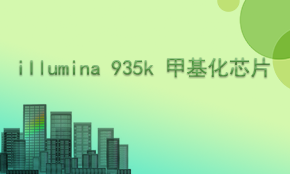 Illumina 935k甲基化芯片檢測