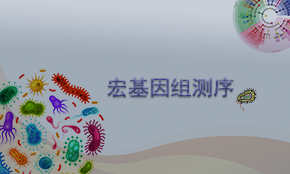 宏基因組測序