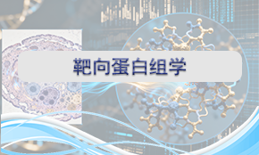 靶向蛋白組學