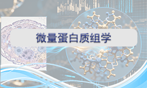 微量蛋白質組學