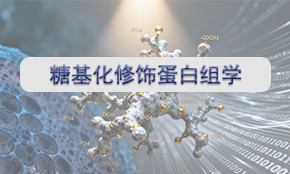 糖基化（N/O）修飾蛋白組學(xué)