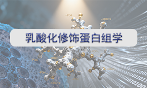 乳酸化修飾蛋白組學(xué)