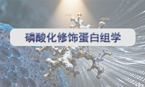 磷酸化修飾蛋白組學(xué)